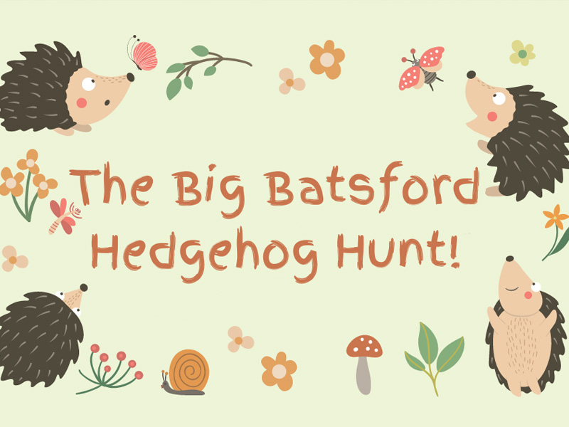 Batsford Arboretum Hedgehog Hunt