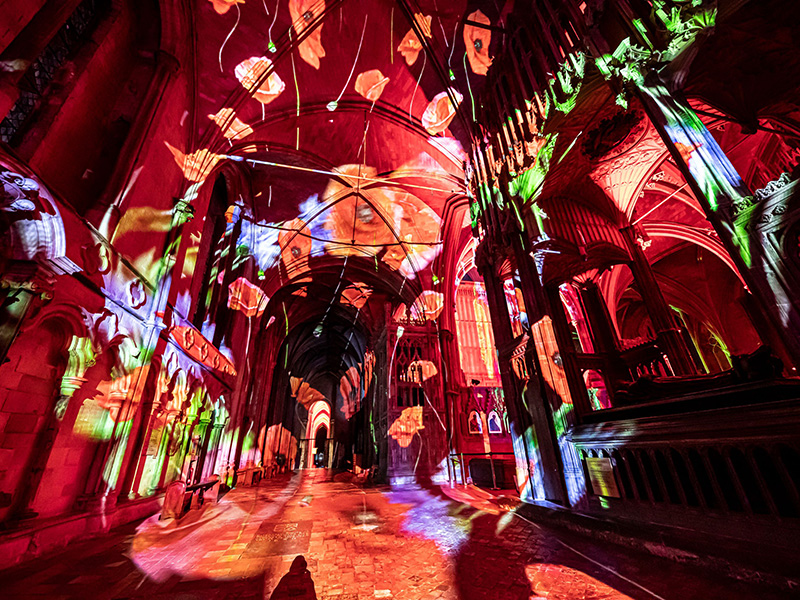 Poppy Fields at Gloucester Cathedral