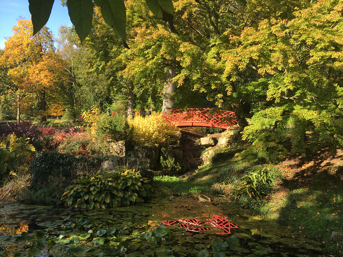 Autumn Batsford Arboretum