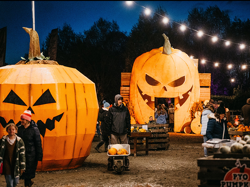 Halloween at Over Farm