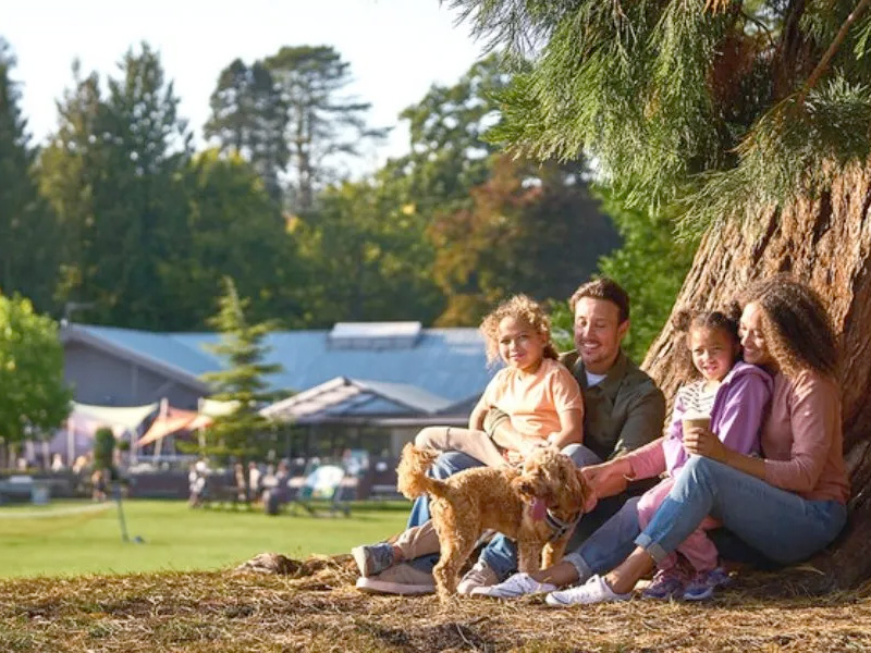 Photos of Whitemead Forest of Dean