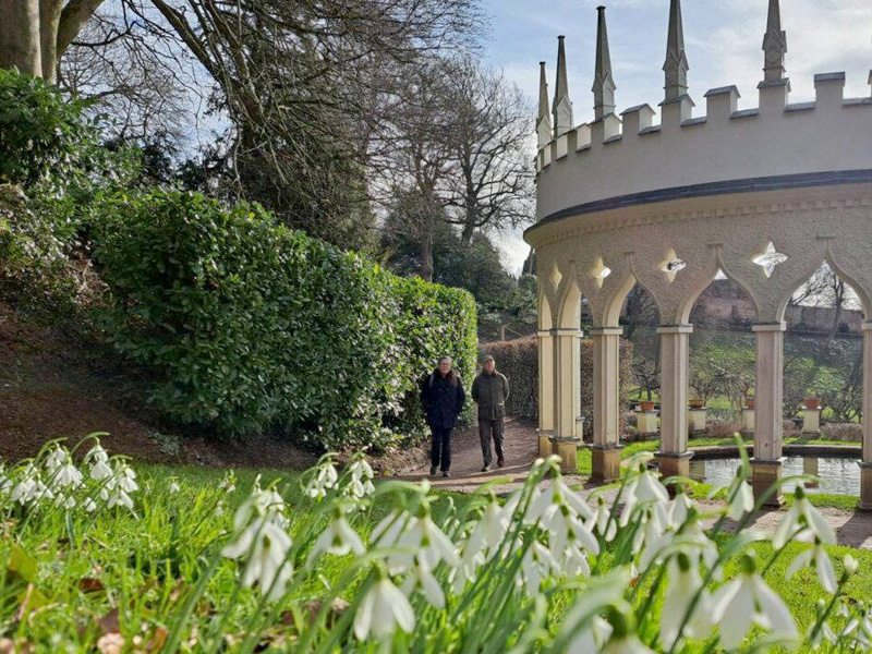 Snowdrops Cotswolds 2026