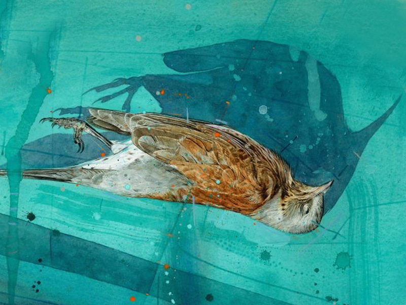 Crucifixion Exhibition Nature in Art Gloucester