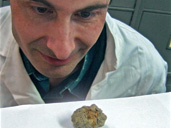 Gloucester City Museum & Art Gallery