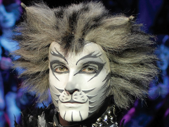 CATS on TOUR at the Centaur, Cheltenham