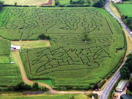 Elton Farm Maze