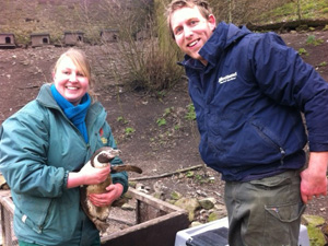 Birdland park & Garedens
