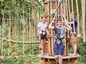 Save 20% on a Family Treetop Challenge