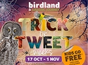 Kids Go FREE during October Half Term