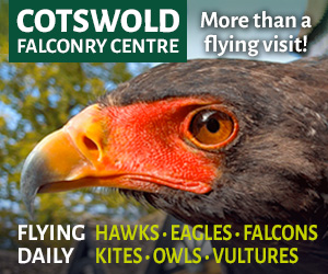 Things to do in the Cotswolds Days Out in Gloucestershire