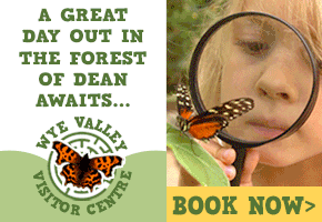 Things to do in the Forest of Dean days out in Gloucestershire visitor attractions