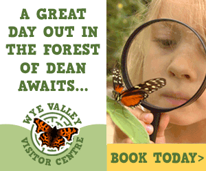 Things to do at Wye Valley Visitor Centre in the Forest of Dean days out in Gloucestershire what's on