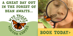 Things to do at Wye Valley Visitor Centre in the Forest of Dean days out in Gloucestershire what's on