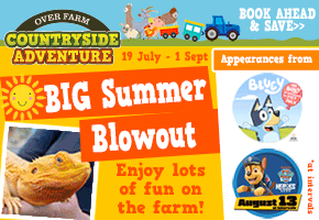 Things to do this summer holidays in Gloucestershire | Over Farm
