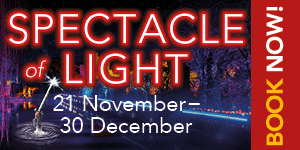 Spectacle of Light 2025 | Christmas at Sudeley Castle