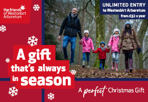 Christmas in the Cotswolds | Westonbirt Arboretum Annual Pass