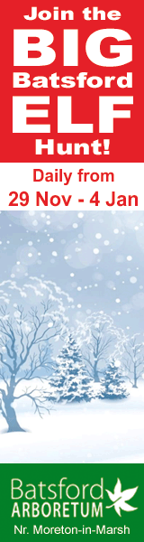 Christmas Events in the Cotswolds | Elf Hunt Batsford Arboretum