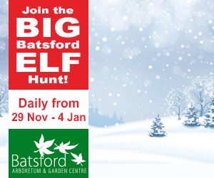 Christmas Events in the Cotswolds | Elf Hunt Batsford Arboretum