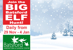 Christmas Events in the Cotswolds | Elf Hunt Batsford Arboretum