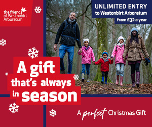 Christmas in the Cotswolds | Westonbirt Arboretum Annual Pass