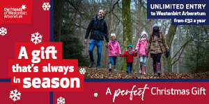 Christmas in the Cotswolds | Westonbirt Arboretum Annual Pass