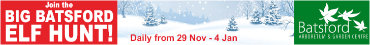 Christmas Events in the Cotswolds | Elf Hunt Batsford Arboretum