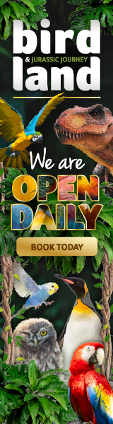 Days out in the Cotswolds | Birdland