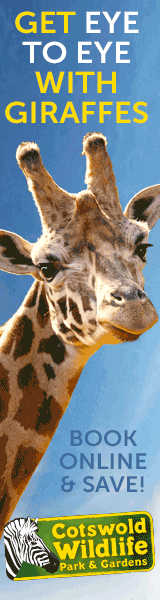 Days out in the Cotswolds | Cotswold Wildlife Park