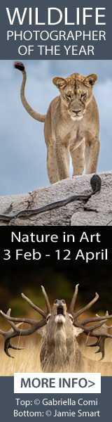 Whats on in Gloucester | Exhibitions at Nature in Art