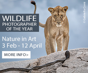 Whats on in Gloucester | Exhibitions at Nature in Art