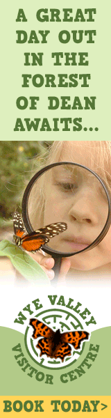 Days out in the Forest of Dean | Wye Valley Visitor Centre