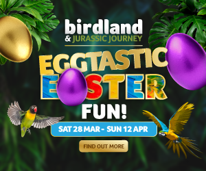 Easter things to do in the Cotswolds | Birdland in Bourton-on-the-Water
