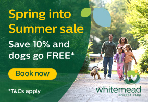 Summer holidays in the Forest of Dean | Whitemead Forest Park