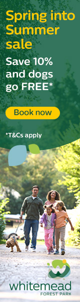 Summer holidays in the Forest of Dean | Whitemead Forest Park