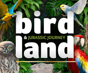 Days out in the Cotswolds | Birdland