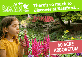 Things to do in the Cotswolds | Batsford Arboretum