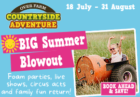 What's on Gloucester events this summer