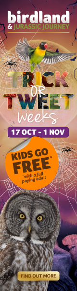 October half term events in the Cotswolds | Halloween events at Birdland