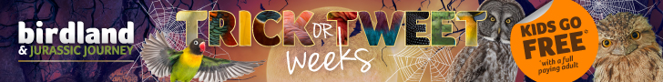 October half term events in the Cotswolds | Halloween events at Birdland