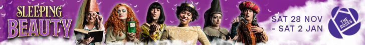 Tewkesburys Panto | Sleeping Beauty at The Roses Theatre