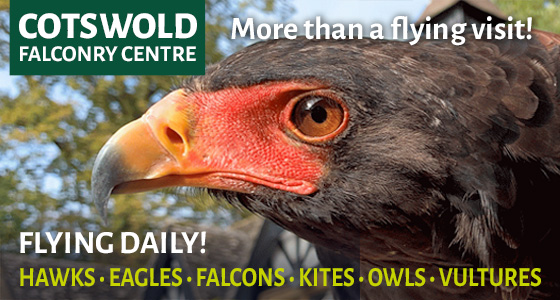 Cotswolds Whats On, Events and Places - Click to view