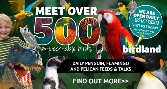 Whats On, Events and Places - Click to view