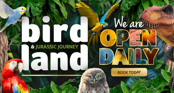 Whats On, Events and Places - Click to view