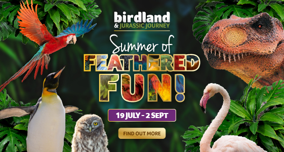 Schools Holidays in Gloucestershire - Click to view