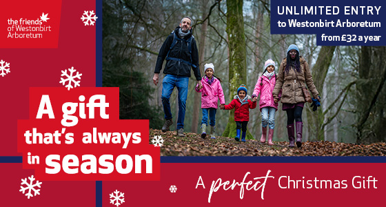 Gloucestershire Christmas Whats On, Events and Places - Click to view