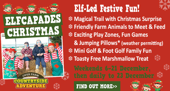 Gloucester Whats On, Events and Places - Click to view