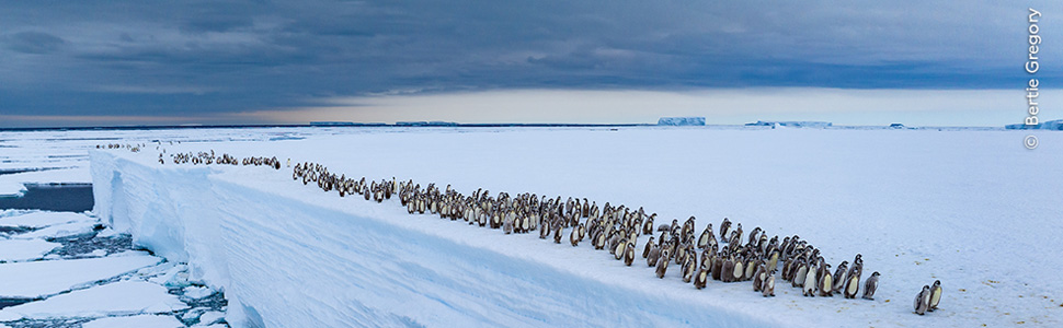 Highlights of Gloucestershire Whats on and Gloucestershire Events