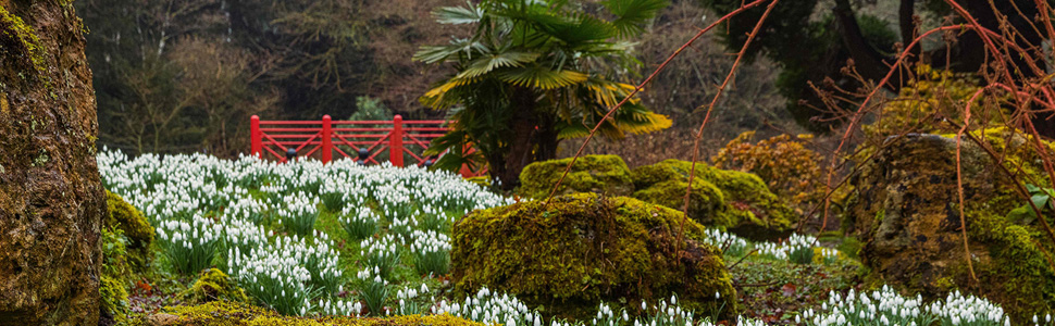 Highlights of Gloucestershire Whats on and Gloucestershire Events