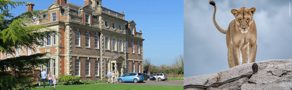 Highlights of Gloucestershire Whats on and Gloucestershire Events