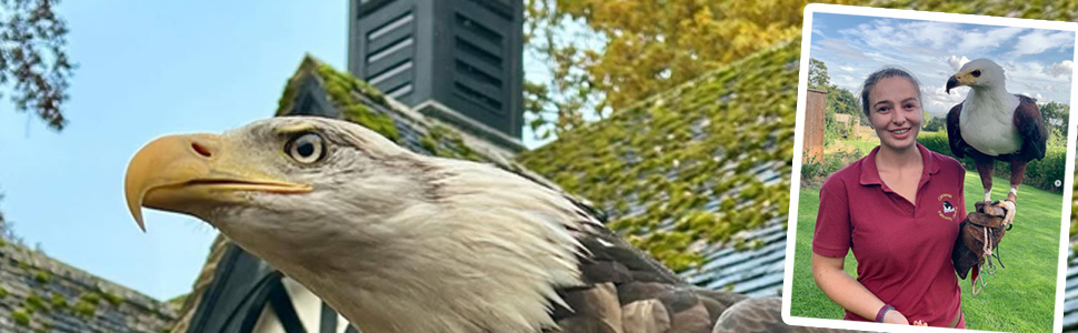 Highlights of Gloucestershire Whats on and Gloucestershire Events